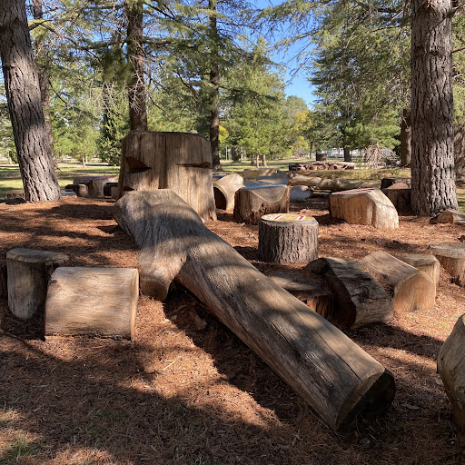 Haig Park Nature Playground 20250824 002239 003