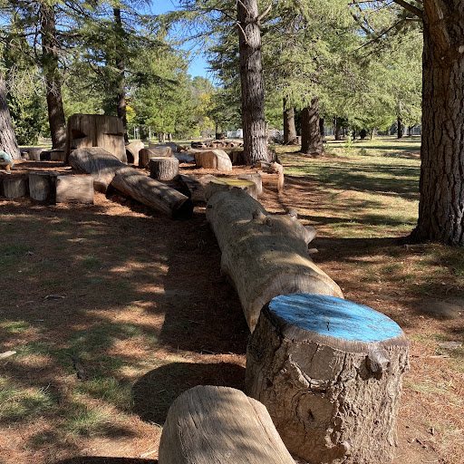 Haig Park Nature Playground 20250824 002240 004