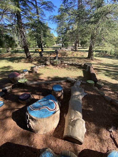 Haig Park Nature Playground 20250824 002242 006