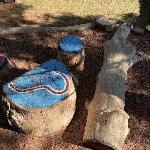 Haig Park Nature Playground 20250824 002243 008