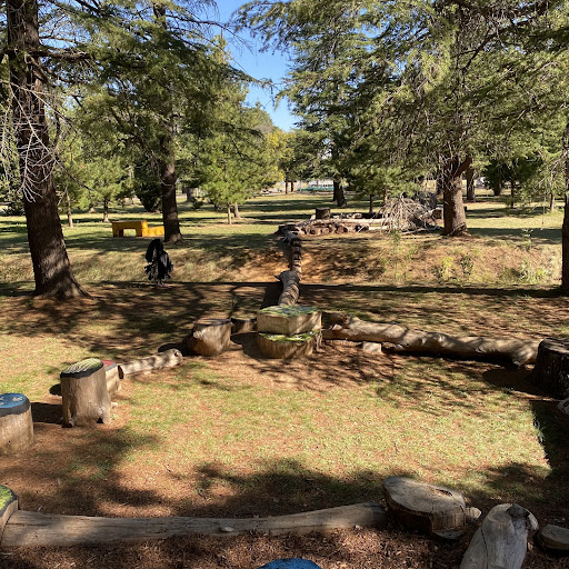 Haig Park Nature Playground 20250824 002244 009