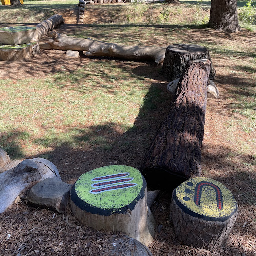 Haig Park Nature Playground 20250824 002245 010