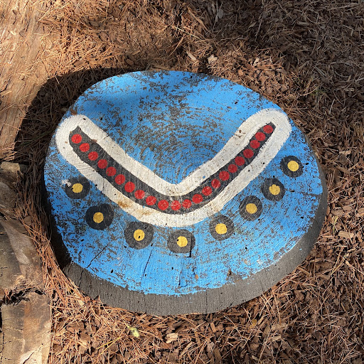 Haig Park Nature Playground 20250824 002247 012