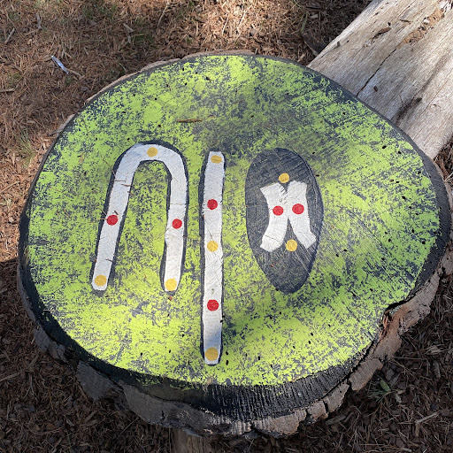Haig Park Nature Playground 20250824 002248 013
