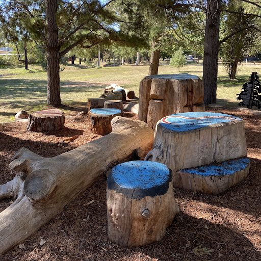 Haig Park Nature Playground 20250824 002249 015