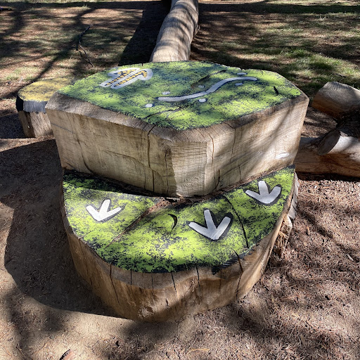 Haig Park Nature Playground 20250824 002250 016