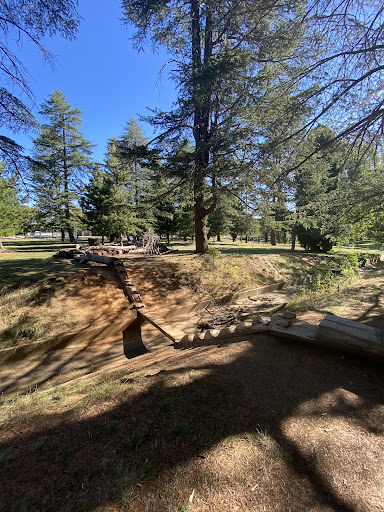 Haig Park Nature Playground 20250824 002251 017