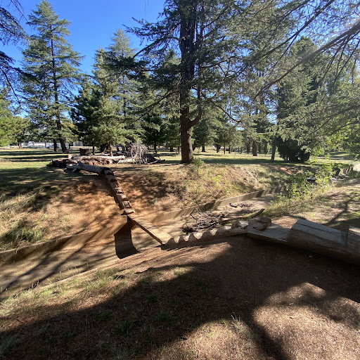 Haig Park Nature Playground 20250824 002251 018