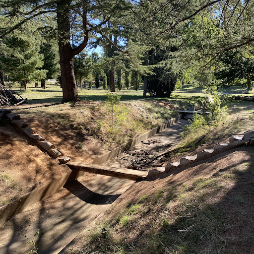 Haig Park Nature Playground 20250824 002252 019