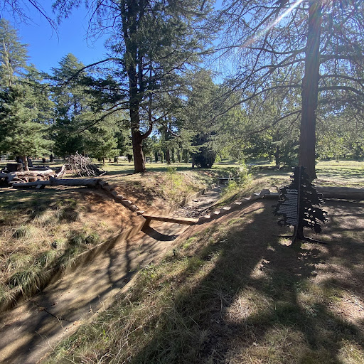 Haig Park Nature Playground 20250824 002253 020
