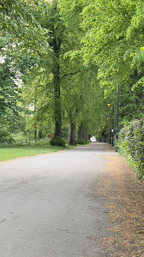 Hall Leys Play Area 20250808 170228 001