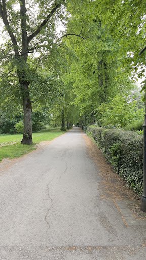 Hall Leys Play Area 20250808 170229 002