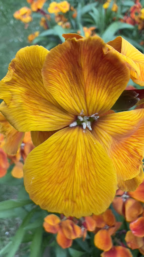 Hall Leys Play Area 20250808 170229 003