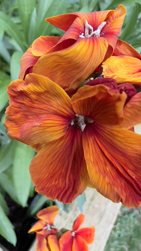 Hall Leys Play Area 20250808 170230 004