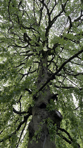 Hall Leys Play Area 20250808 170233 007