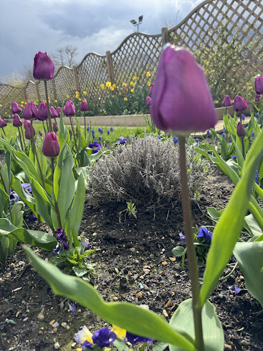 Hare Krishna Temple Watford   ISKCON Bhaktivedanta Manor 20250808 184542 001