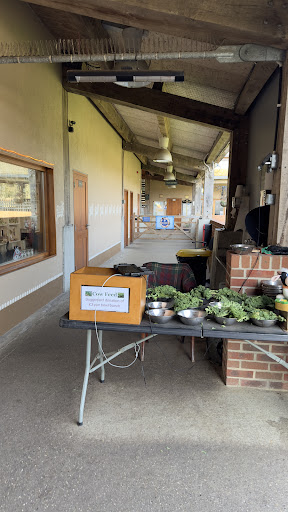 Hare Krishna Temple Watford   ISKCON Bhaktivedanta Manor 20250808 184552 013