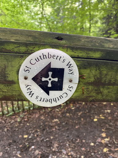 Harestanes park 20250808 152705 001