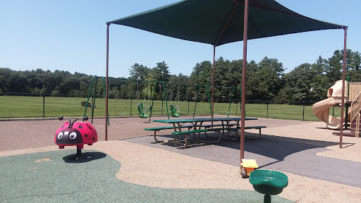 Haskell Field Playground 20250727 061926 009