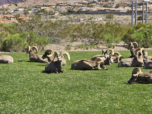 Hemenway Park playground 20250726 220900 001