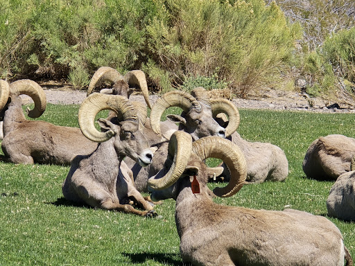 Hemenway Park playground 20250726 220901 002