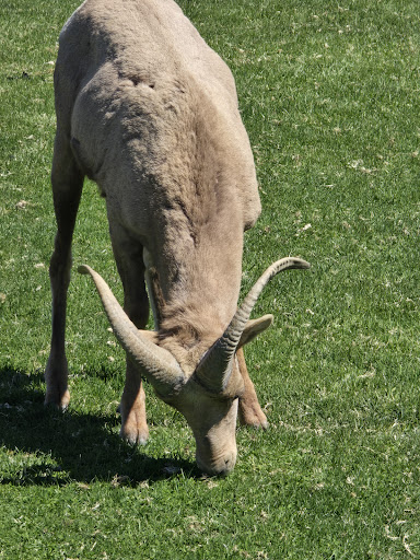 Hemenway Park playground 20250726 220902 003