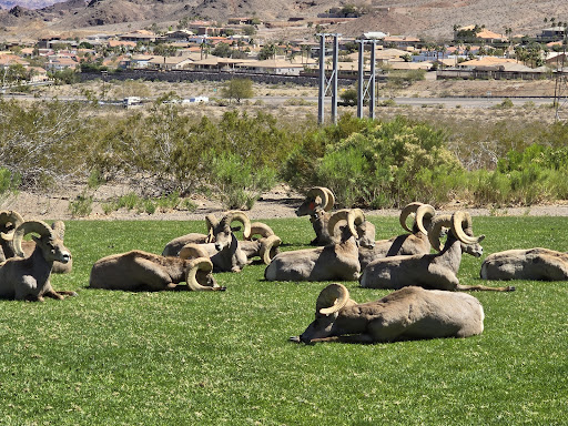 Hemenway Park playground 20250726 220912 011
