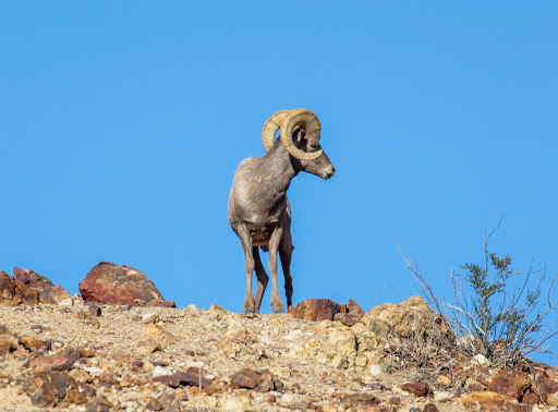 Hemenway Park playground 20250726 220916 015