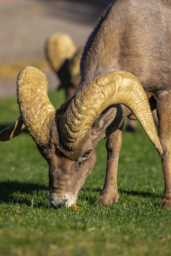 Hemenway Park playground 20250726 220917 016