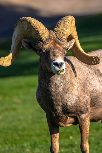 Hemenway Park playground 20250726 220918 017