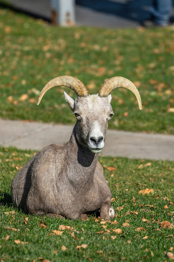 Hemenway Park playground 20250726 220919 018