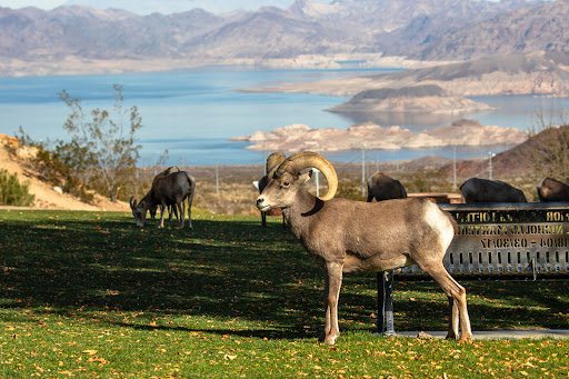 Hemenway Park playground 20250726 220921 019