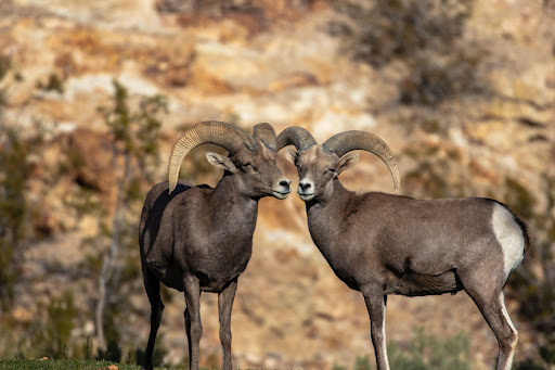 Hemenway Park playground 20250726 220922 020