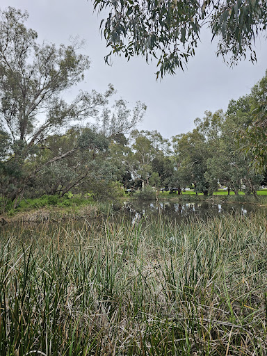 Herdsman Lake East Playground 20250824 021323 016