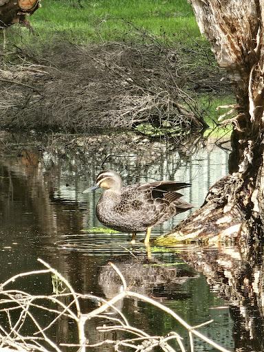Herdsman Lake East Playground 20250824 021323 017