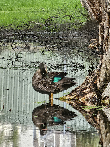 Herdsman Lake East Playground 20250824 021324 018