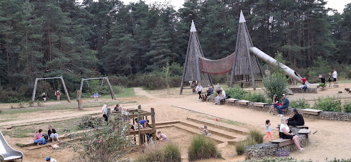 Hogmoor Inclosure Natural Play Area 20250808 195125 001