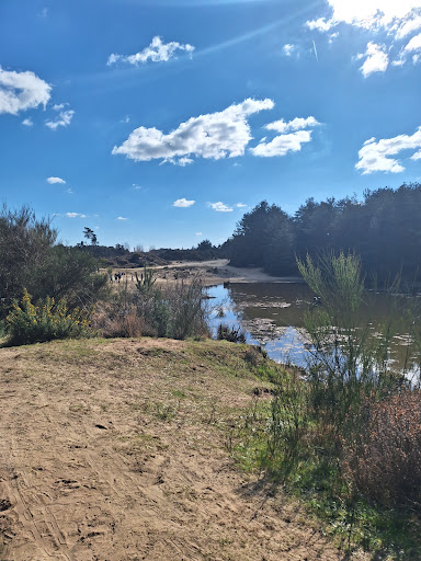 Hogmoor Inclosure Natural Play Area 20250808 195126 002