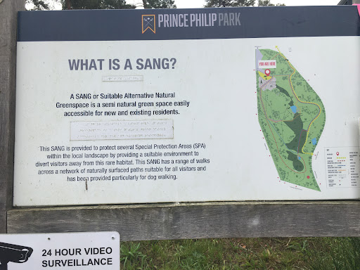 Hogmoor Inclosure Natural Play Area 20250808 195126 003