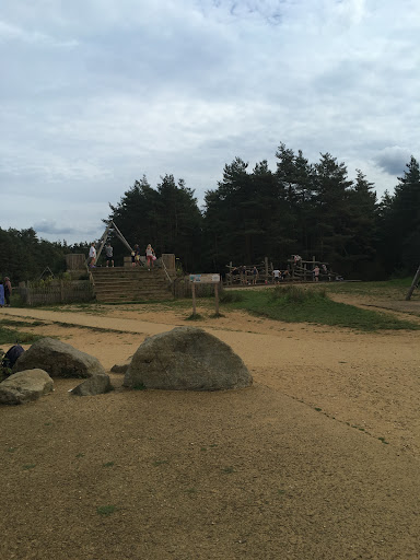 Hogmoor Inclosure Natural Play Area 20250808 195129 006