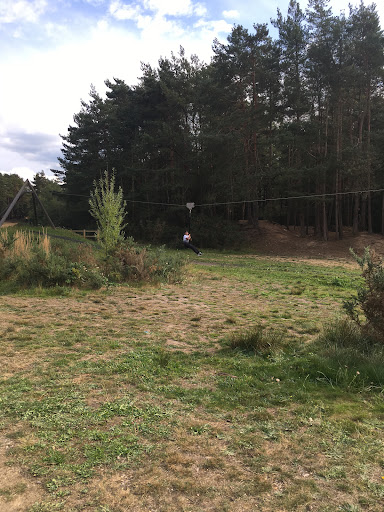 Hogmoor Inclosure Natural Play Area 20250808 195132 010