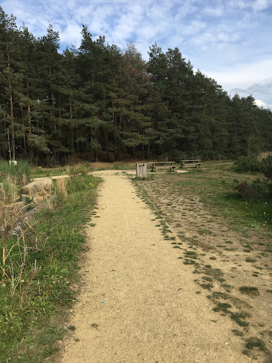 Hogmoor Inclosure Natural Play Area 20250808 195135 014