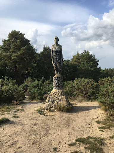 Hogmoor Inclosure Natural Play Area 20250808 195137 017