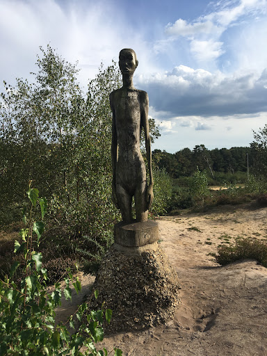 Hogmoor Inclosure Natural Play Area 20250808 195138 018