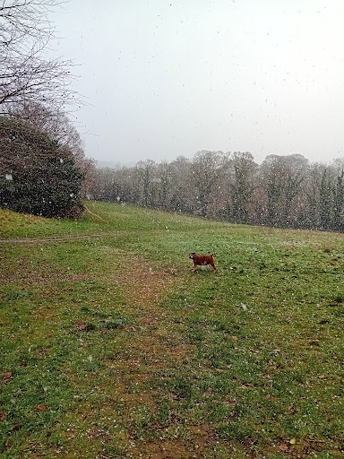 Hollybush Playground 20250808 194655 001