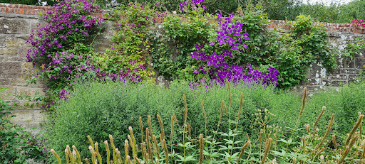 House of Dun  Garden   Estate  National Trust for Scotland  20250808 145808 004