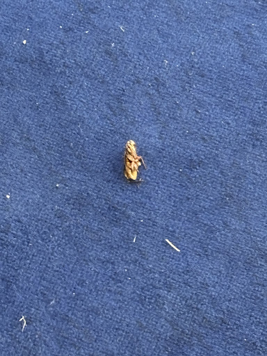 Houston Funplex 20250726 174133 014