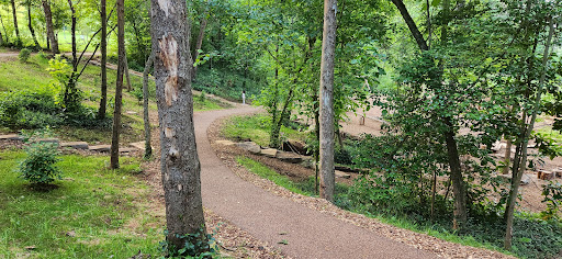 Huie Woodland Playground 20250726 222359 020