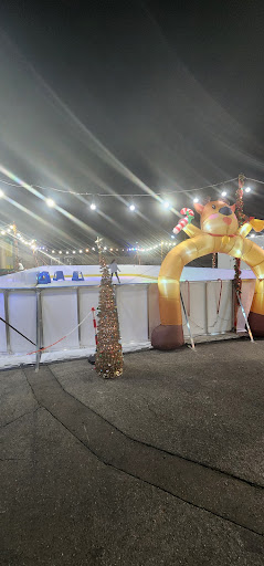 Ice Fantasy Skating Rink 20250727 115726 005