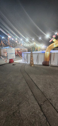 Ice Fantasy Skating Rink 20250727 115727 006